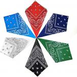 Miglior bandana indossata