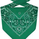 Miglior bandana verde