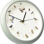 Miglior orologio uccelli citta del sole