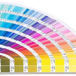 Miglior cartella pantone