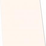 Miglior cartelline bianche