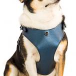 Miglior marsupio per chihuahua