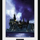 Miglior quadri harry potter