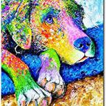 Miglior quadro cane vestito