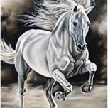 Miglior quadro cavallo