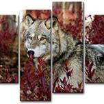 Miglior quadro con cane