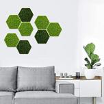 Miglior quadro muschio