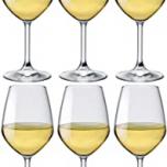 Miglior bicchieri per vino bianco