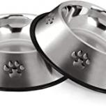 Miglior ciotola per cani