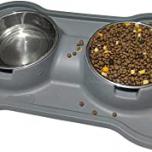 Miglior ciotola rialzata gatto