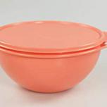 Miglior ciotola tupperware 10 litri