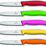 Miglior coltelli cucina victorinox