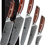 Miglior coltelli sanelli
