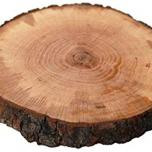 Miglior sottopiatto legno tronco