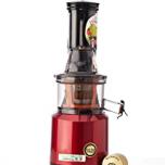 Miglior estrattore hurom h 100