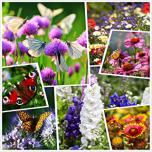Miglior fiori invernali da giardino