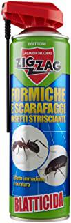 Miglior insetticida per blatte