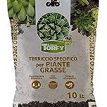 Miglior terriccio per cactus