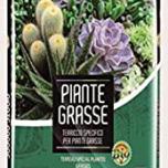 Miglior terriccio per piante grasse