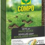 Miglior tappeto erboso